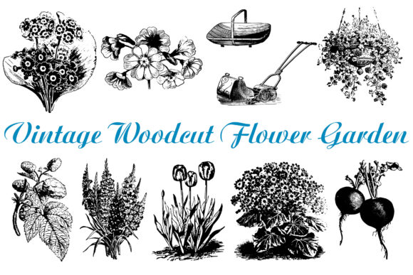 74 Woodcut Vintage Floral Border Divider Graphics and Illustrations Review