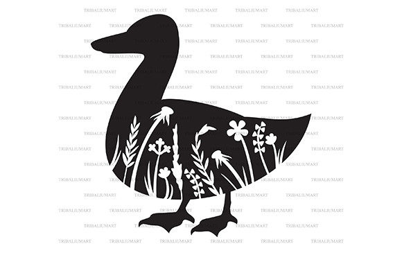 Floral Domestic Duck Graphics & Illustrations Review