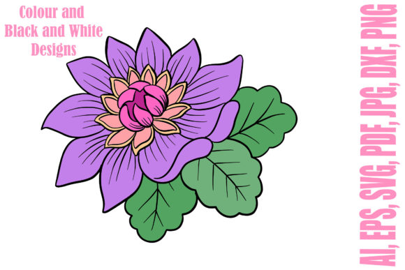 Floral Line Art and Colour Flowers and L for Graphics & Illustrations