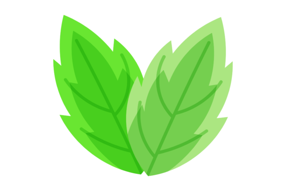 Floral Vintage Leaf Graphics and Illustrations Review
