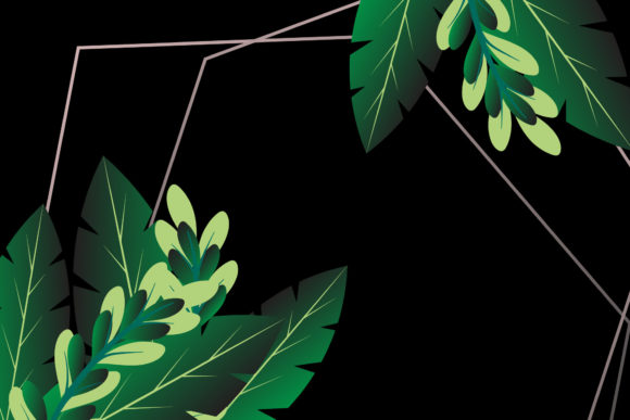 Frame Banner Floral Nature Graphics for Branding and Marketing