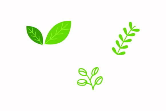 Sunflower Summer Floral Leaves: Graphics & Illustrations for Real Brands